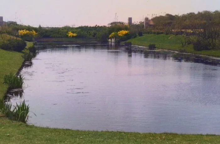 Begraafplaats Westduin