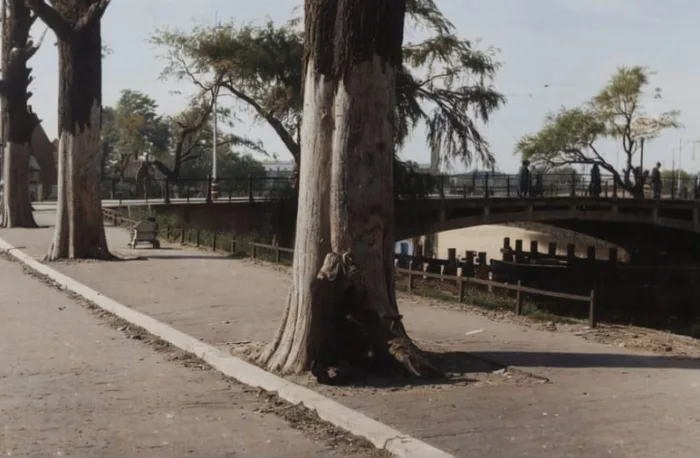 Op de Suezkade bij de brug